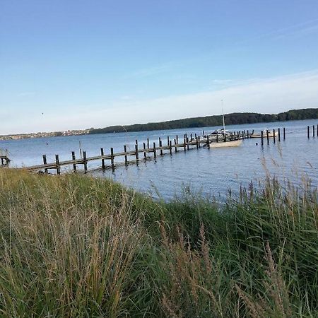 Tankefuld Living'S Horsefarm Apartman Svendborg község Kültér fotó