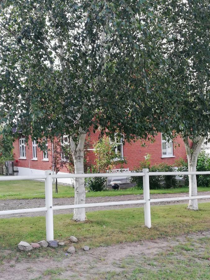 Tankefuld Living'S Horsefarm Apartman Svendborg község Kültér fotó