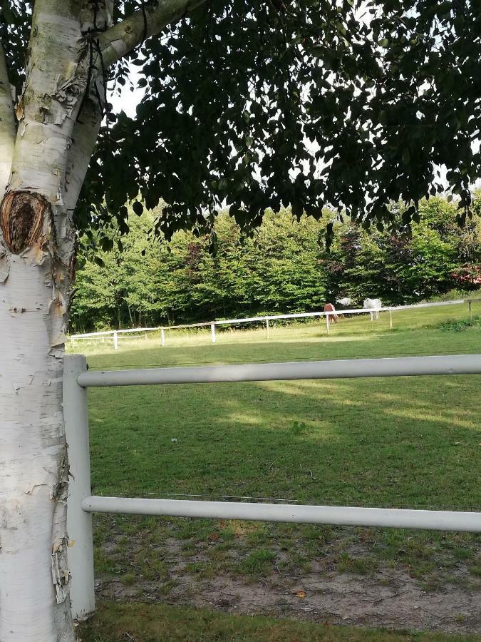 Tankefuld Living'S Horsefarm Apartman Svendborg község Kültér fotó