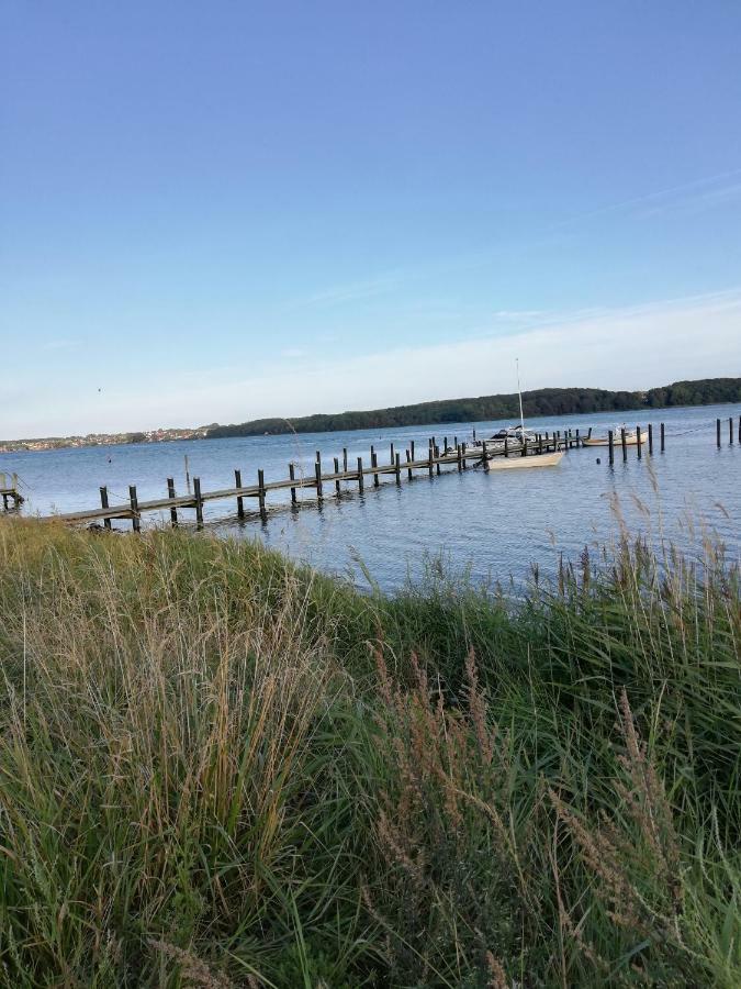 Tankefuld Living'S Horsefarm Apartman Svendborg község Kültér fotó