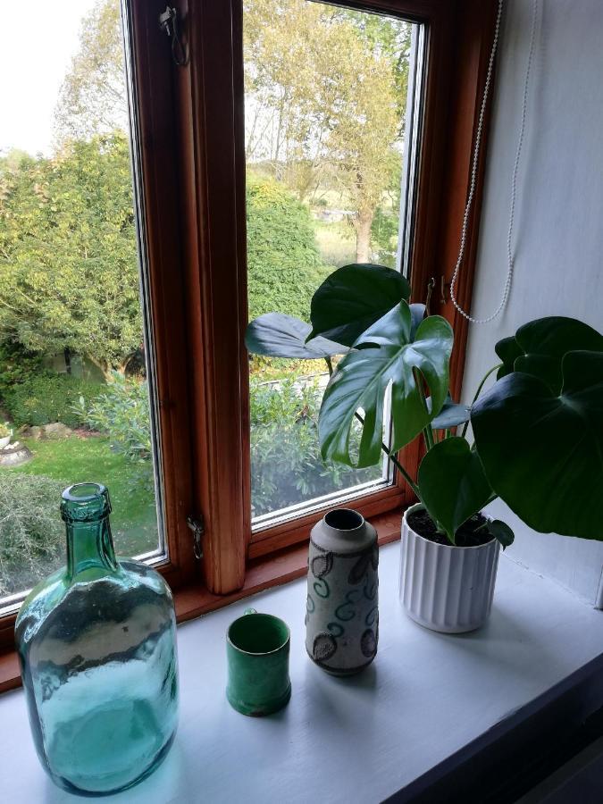 Tankefuld Living'S Horsefarm Apartman Svendborg község Kültér fotó
